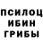 Галлюциногенные грибы прущие грибы oldstalker