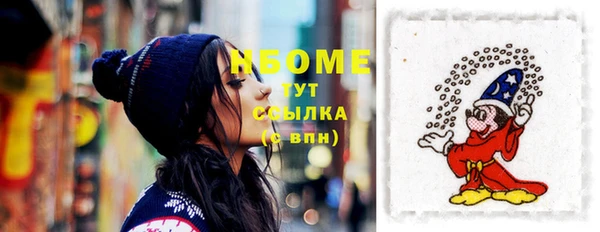 молекула духа Осташков