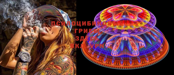 a pvp Осинники