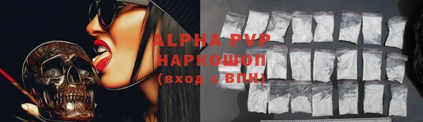 молекула духа Осташков