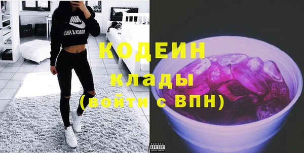 молекула духа Осташков