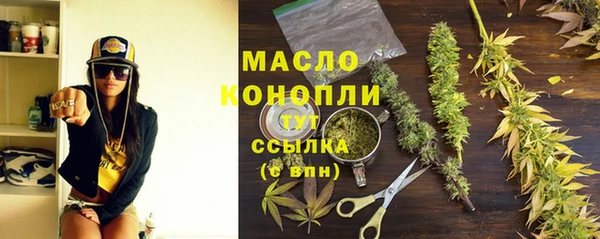 молекула духа Осташков