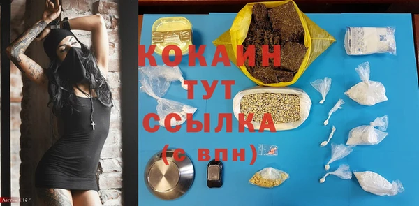 молекула духа Осташков