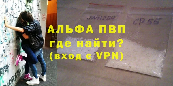 молекула духа Осташков