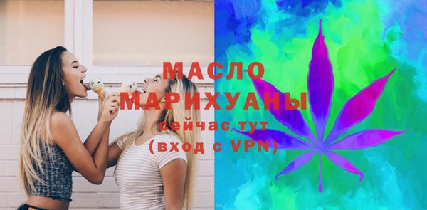 молекула духа Осташков