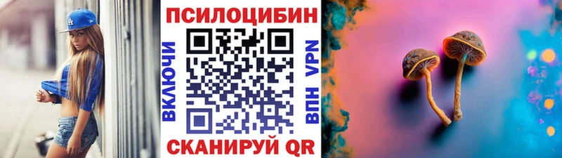 Псилоцибиновые грибы прущие грибы  где купить   Хилок 